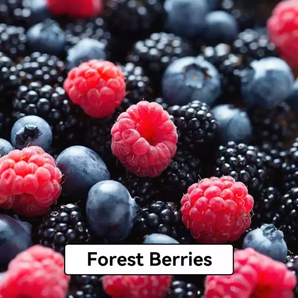 Relx Infinity Pod Gen6 2 pods pack - Forest Berries