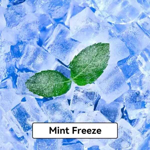 Relx Infinity Pod Gen6 2 pods pack - Mint Freeze