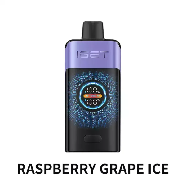 IGET ONE 12000 Puffs - Raspberry Grape Ice